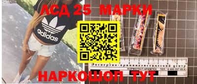 гашик Кунгур