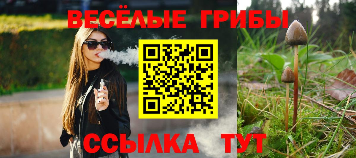 Галлюциногенные грибы прущие грибы Усть-Джегута